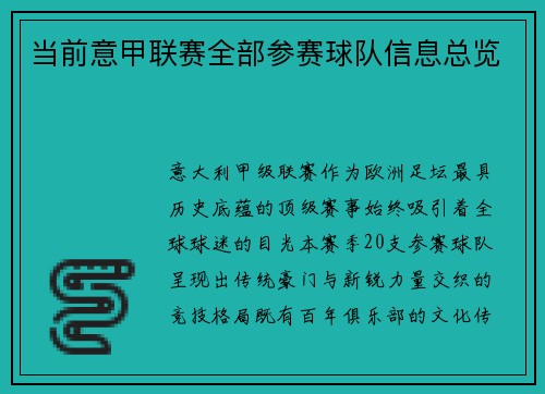 当前意甲联赛全部参赛球队信息总览